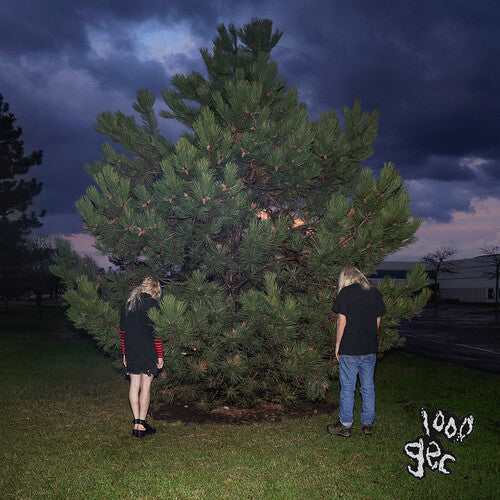 100 gecs - 1000 Gecs LP [Vinyl]