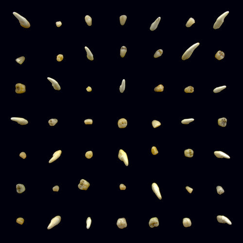 Clipping - Visions Of Bodies Being Burned 2LP [Vinyl]