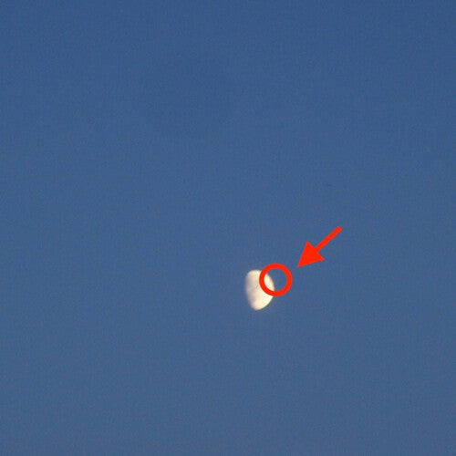 Cleopatrick - Fake Moon CD [Vinyl]