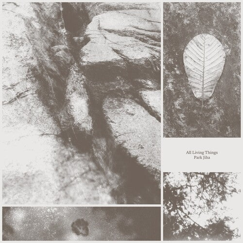 Park Jiha - All Living Things LP  (Preorder: Ships June 06, 2025) ; VINYLGLOB