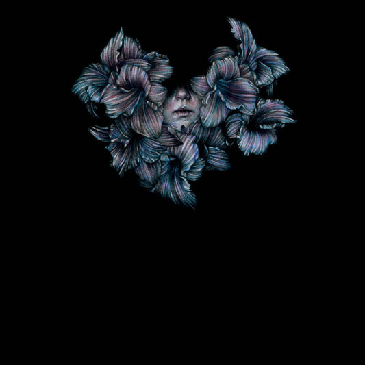 A Lot Like Birds - Divisi LP [Vinyl]